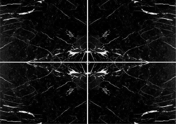 رخام نيرو ماركينا فيناتو الإسباني عروق غير متطابقة