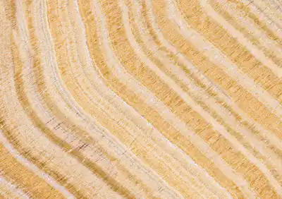 onyx arco iris vein cut mexican