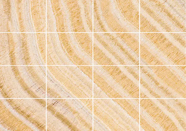 أونيكس أركو إيريس مقطوع بعروق مكسيكي مطابقة ربع كتاب