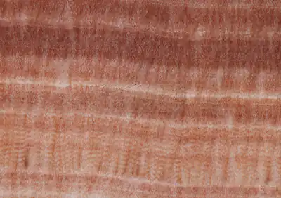 onyx iris pink tanzania iranian