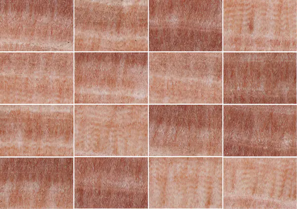 أونيكس إيريس وردي تنزانيا إيراني مطابقة كتاب مفتوح