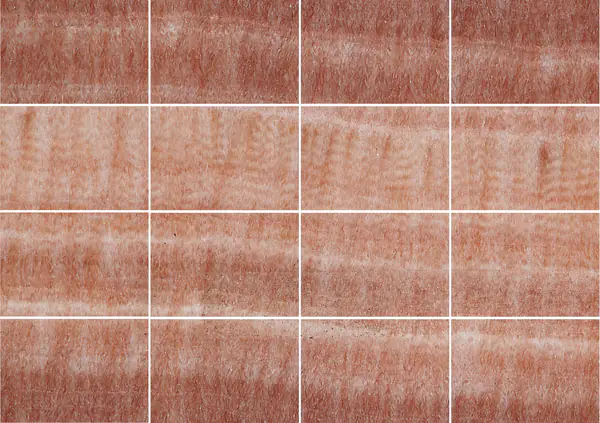 أونيكس إيريس وردي تنزانيا إيراني مطابقة كتاب مزدوج مفتوح