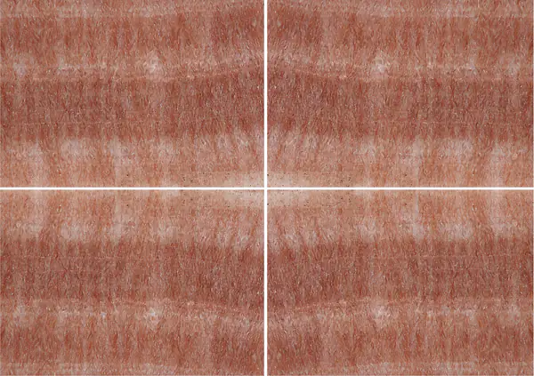 أونيكس إيريس وردي تنزانيا إيراني عروق غير متطابقة