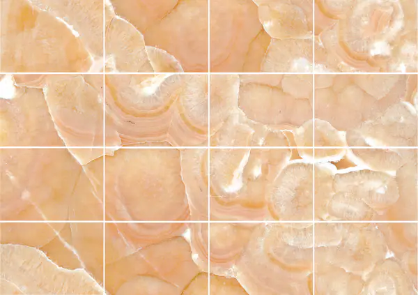 أونيكس أورانج مكسيكي مطابقة كتاب مزدوج مفتوح