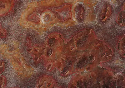 onyx rosso tartaruga turkish
