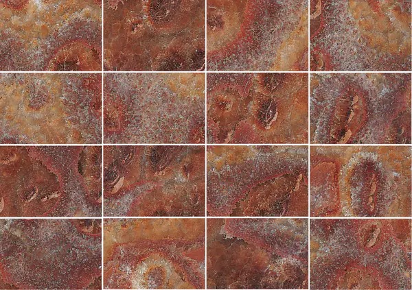 أونيكس روسو تارتاروغا تركي مطابقة كتاب مفتوح