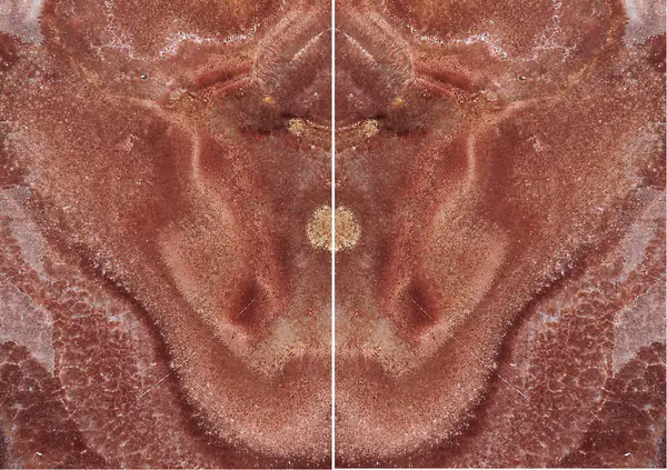 أونيكس تنزانيا الأحمر التنزاني مطابقة ربع كتاب