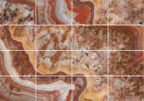 أونيكس تايجر باكستاني مطابقة كتاب مزدوج مفتوح