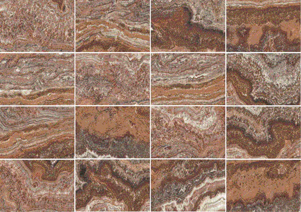 أونيكس تايجر فين كات باكستاني مطابقة كتاب مفتوح