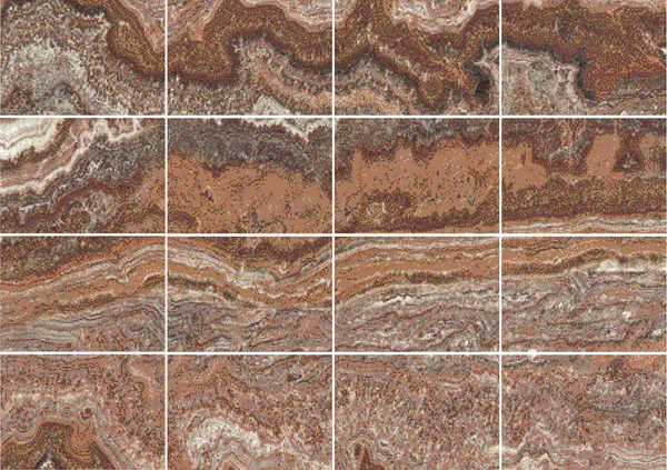 أونيكس تايجر فين كات باكستاني مطابقة كتاب مزدوج مفتوح