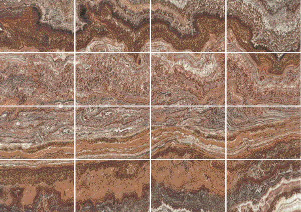 أونيكس تايجر فين كات باكستاني مطابقة ربع كتاب