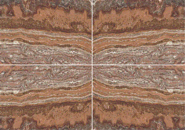 أونيكس تايجر فين كات باكستاني عروق متتابعة