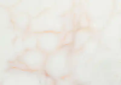 onyx white classico pakistani