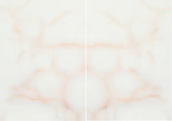 أونيكس وايت كلاسيكو باكستاني مطابقة ربع كتاب