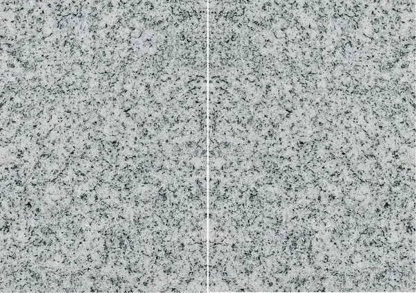 بادانغ تي جي 33 جرانيت صيني مطابقة ربع كتاب