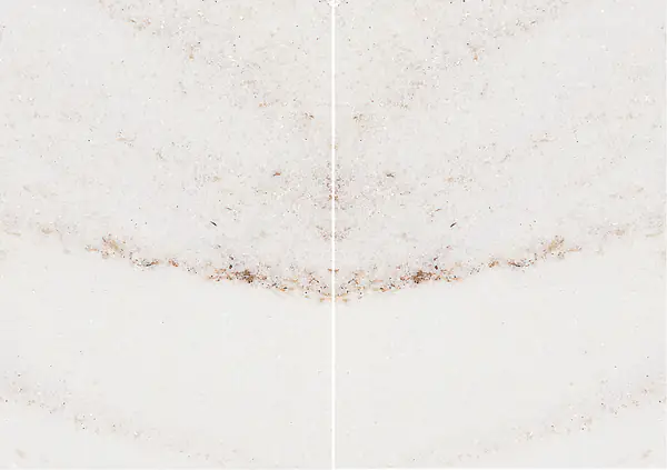 رخام باليساندرو بيانكو الإيطالي مطابقة ربع كتاب