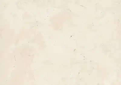 palmyra italian limestone