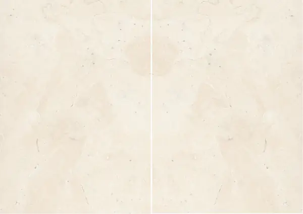 حجر جيري إيطالي من تدمر مطابقة ربع كتاب