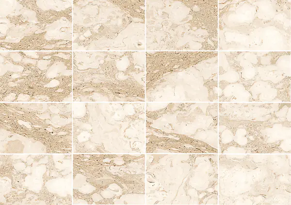 رخام إيطالي بيرلاتينو مطابقة كتاب مفتوح