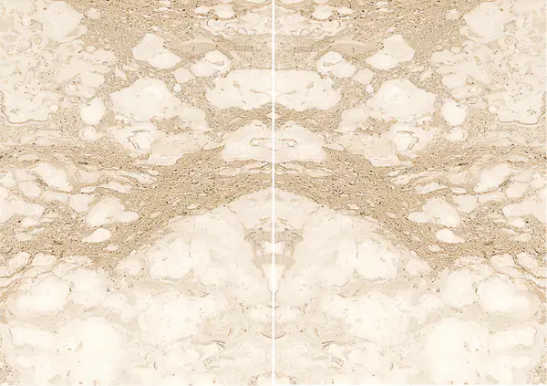 رخام إيطالي بيرلاتينو مطابقة ربع كتاب