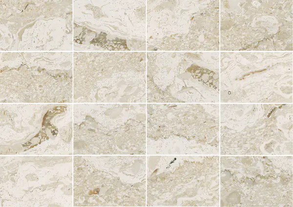 رخام بيرلاتو رويال الإيطالي مطابقة كتاب مفتوح