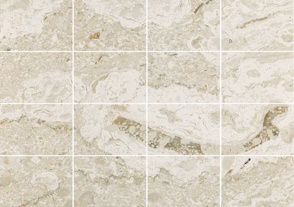 رخام بيرلاتو رويال الإيطالي مطابقة ربع كتاب