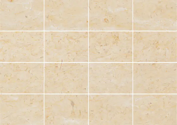 رخام بيرلاتو سفيفو الإيطالي مطابقة كتاب مزدوج مفتوح