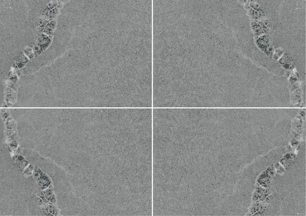 حجر بييترا دي ستاتسيما الرملي الإيطالي عروق متتابعة