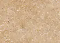 Pietra Di Vicenza Italian Sandstone
