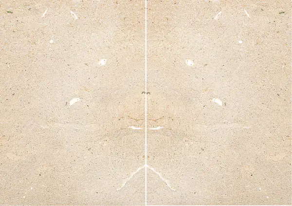 حجر بييتري ليشيسي الرملي الإيطالي مطابقة ربع كتاب