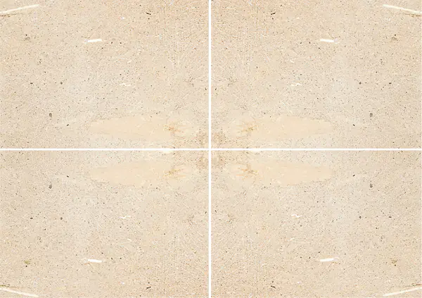 حجر بييتري ليشيسي الرملي الإيطالي عروق غير متطابقة