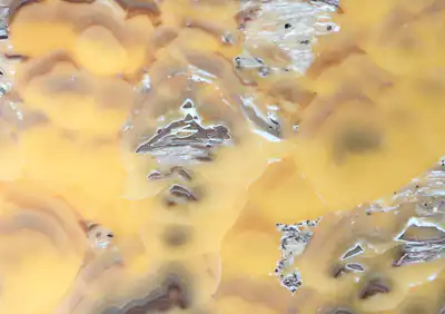 pineapple onyx iranian