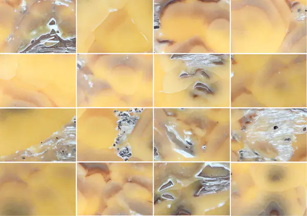 أونيكس الأناناس الإيراني مطابقة كتاب مفتوح