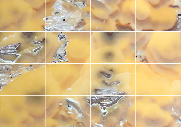 أونيكس الأناناس الإيراني مطابقة كتاب مزدوج مفتوح