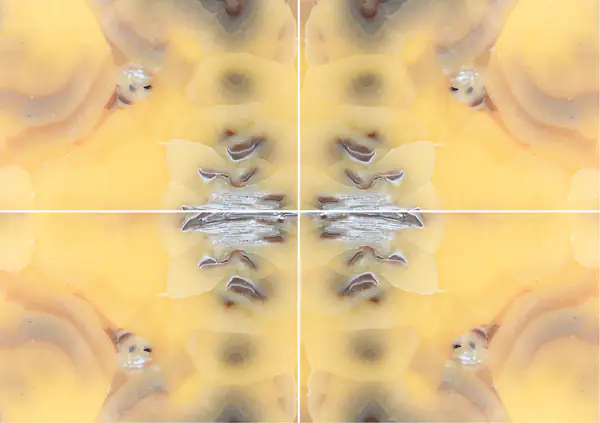 أونيكس الأناناس الإيراني عروق متتابعة