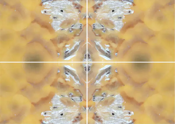 أونيكس الأناناس الإيراني عروق غير متطابقة