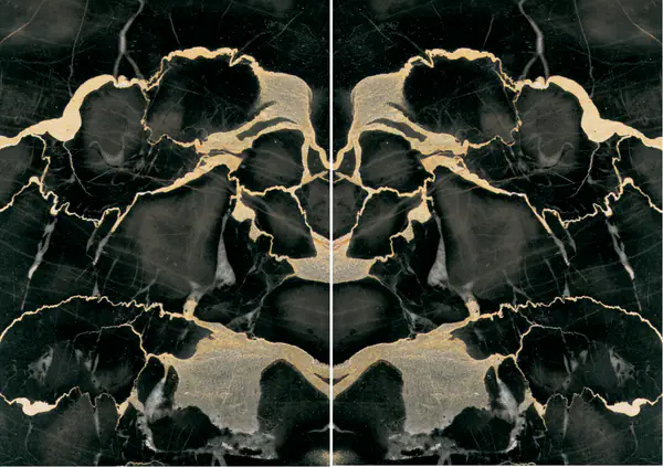 رخام إيطالي بورتورو ماكيا غراندي مطابقة ربع كتاب