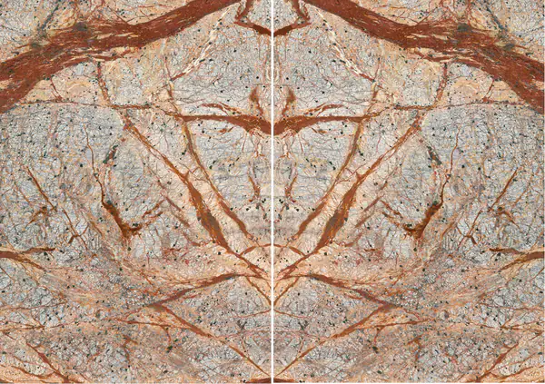 رخام الغابة المطيرة البني الهندي مطابقة ربع كتاب