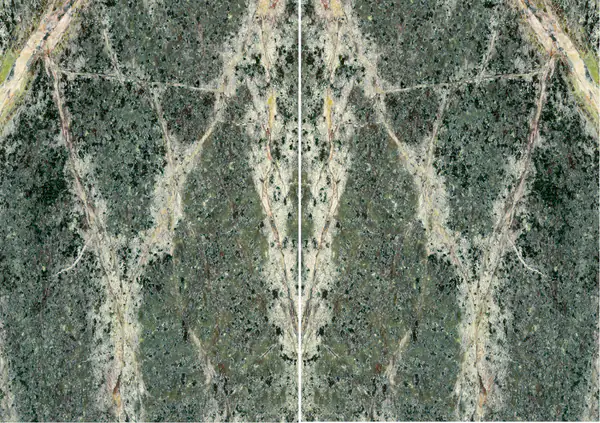 رخام الغابات المطيرة الأخضر الهندي مطابقة ربع كتاب