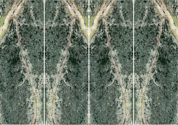 رخام الغابات المطيرة الأخضر الهندي غير مطابق