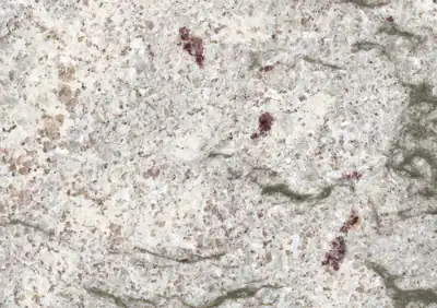 river white indian granite