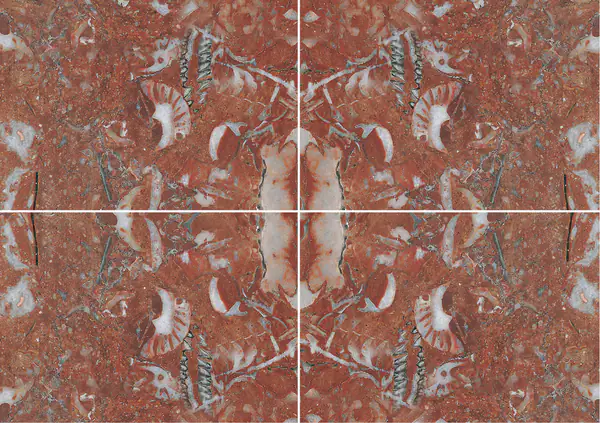 رخام روخو دانييل الإسباني عروق متتابعة