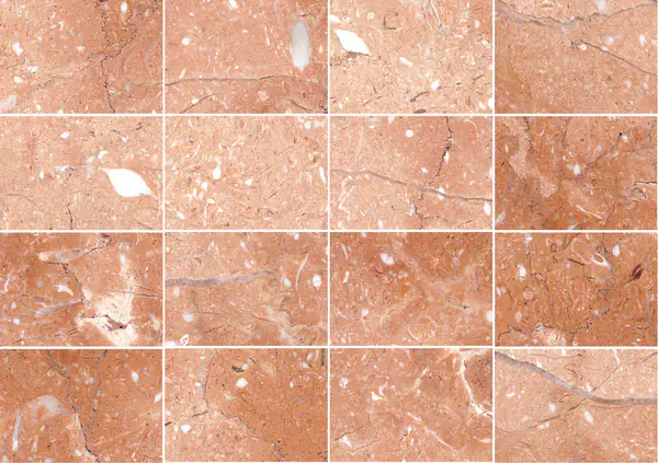 رخام روزا ميراج التركي مطابقة كتاب مفتوح