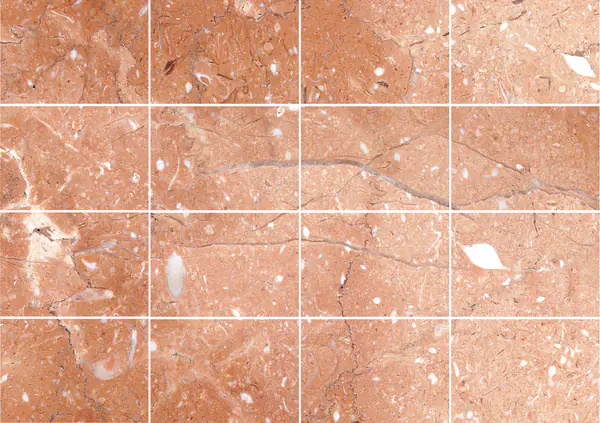 رخام روزا ميراج التركي مطابقة كتاب مزدوج مفتوح