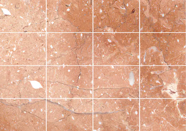 رخام روزا ميراج التركي مطابقة ربع كتاب