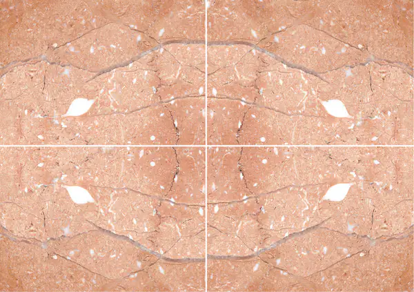 رخام روزا ميراج التركي عروق متتابعة