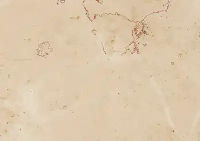 rosa san marco italian limestone