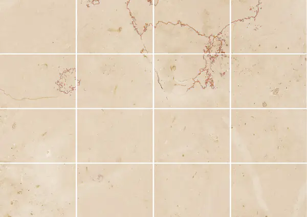 حجر جيري إيطالي روزا سان ماركو مطابقة ربع كتاب