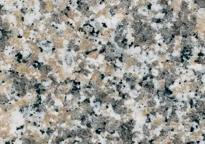 rosa sardo champagne italian granite