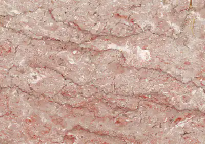 rosa tea persiano iranian marble